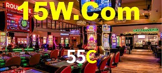 55C App Interface